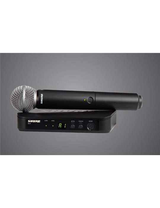 BLX24E/SM58 T11