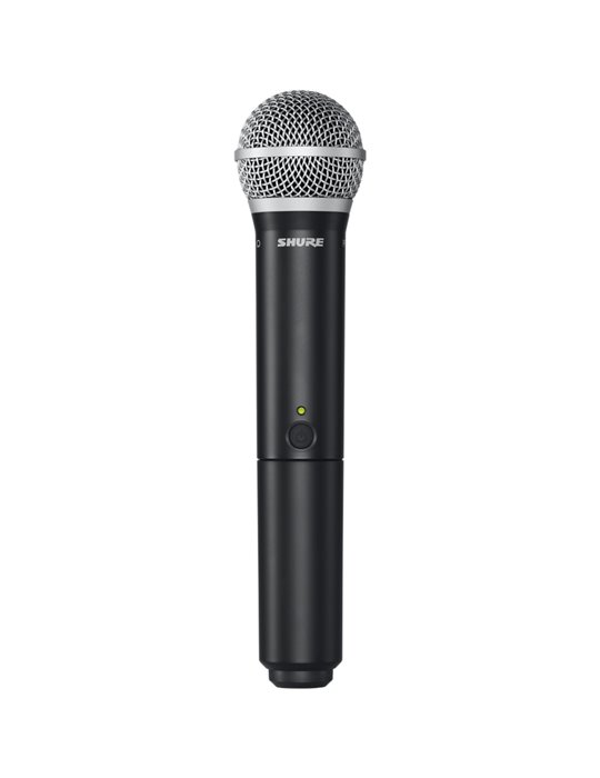 BLX2/SM58 T11