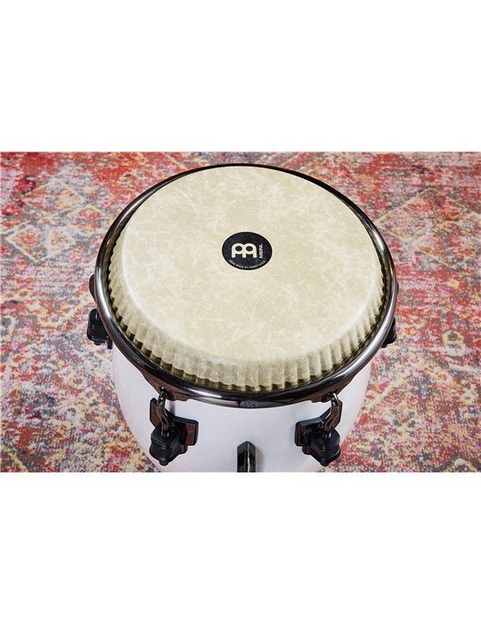 RS11PW
