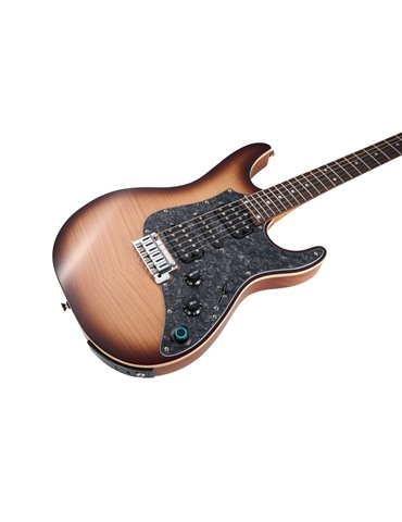 GTRS SL810 BROWN BURST 2