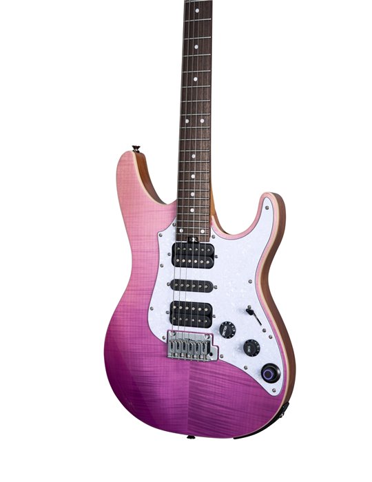GTRS SL810 PURPLE BURST