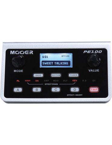 PE100 PORTABLE