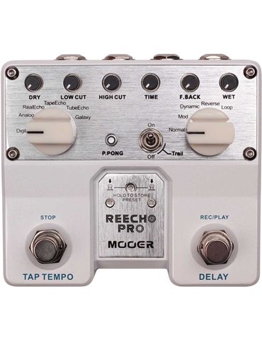 REECHO PRO DIGITAL DELAY