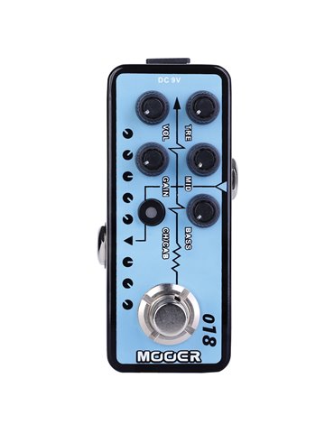 018 CUSTOM 100 MICRO PREAMP