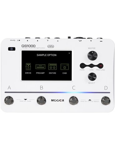 GS1000