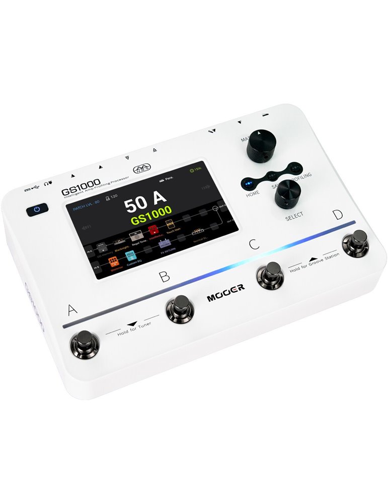 GS1000