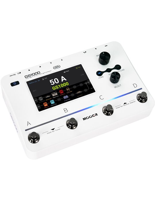 GS1000