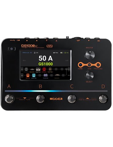 GS1000 LI 2