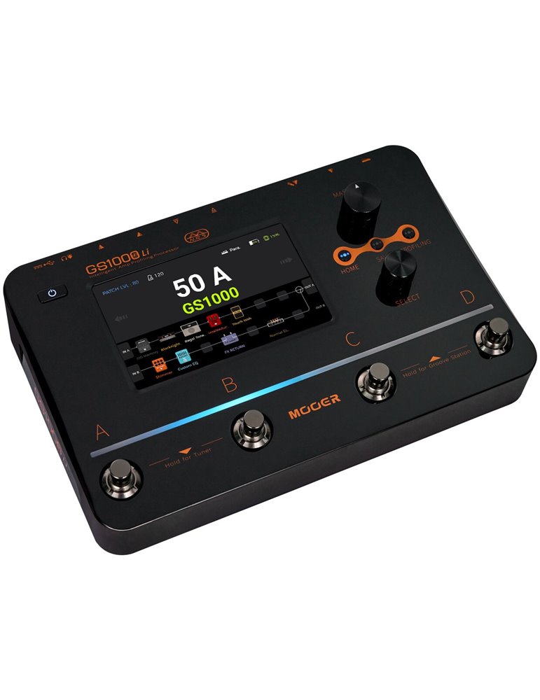 GS1000 LI