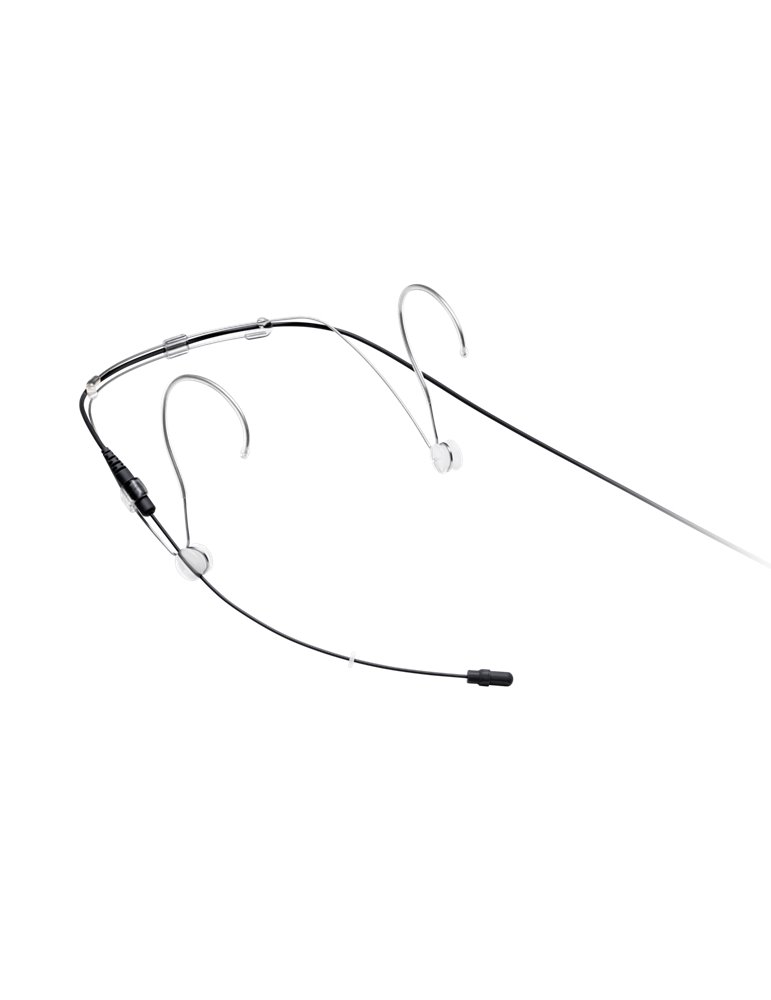 DH5B/O-MTQG