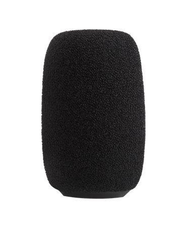 RK412WS