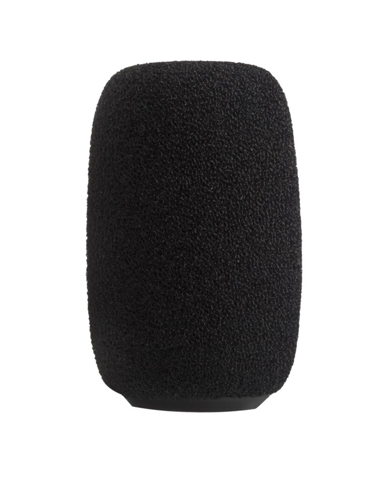 RK412WS