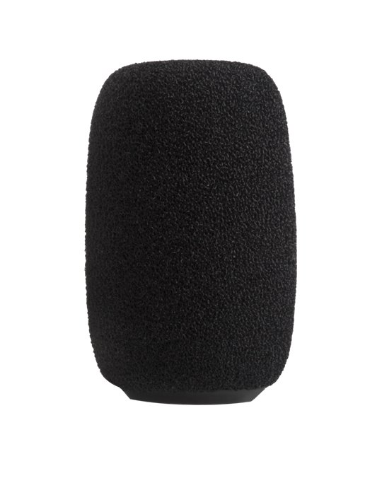 RK412WS