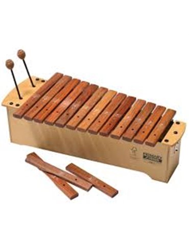 AXP 1.1 INT, ALT XYL,