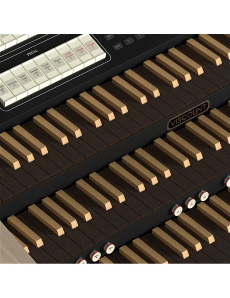 CANTORUM TRIO PLUS-W