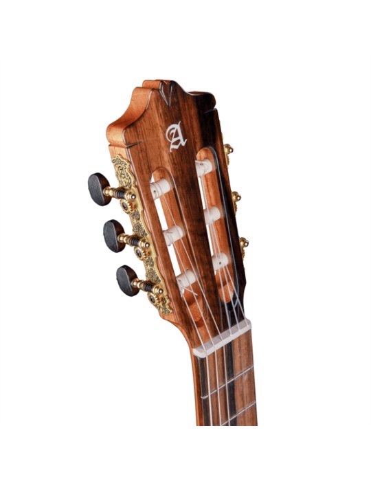 ALHAMBRA ALHA8895 Alhambra Green Sustain Classical