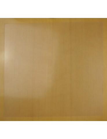 GOLPEADOR TRANSPARENTE ADHESIVO GRANDE CUADRADO GTAG