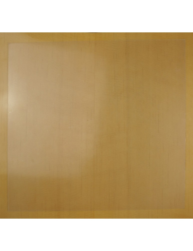 GOLPEADOR TRANSPARENTE ADHESIVO GRANDE CUADRADO GTAG