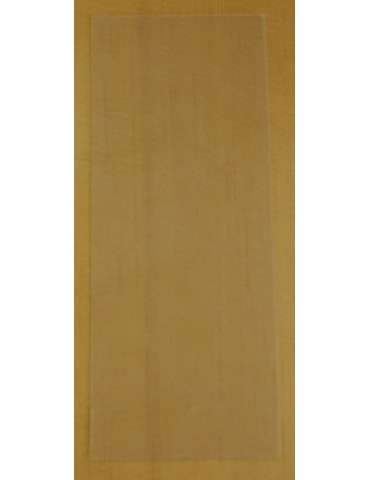 GOLPEADOR TRANSPARENTE ADHESIVO PEQUEÑO RECTANGULAR GTAP