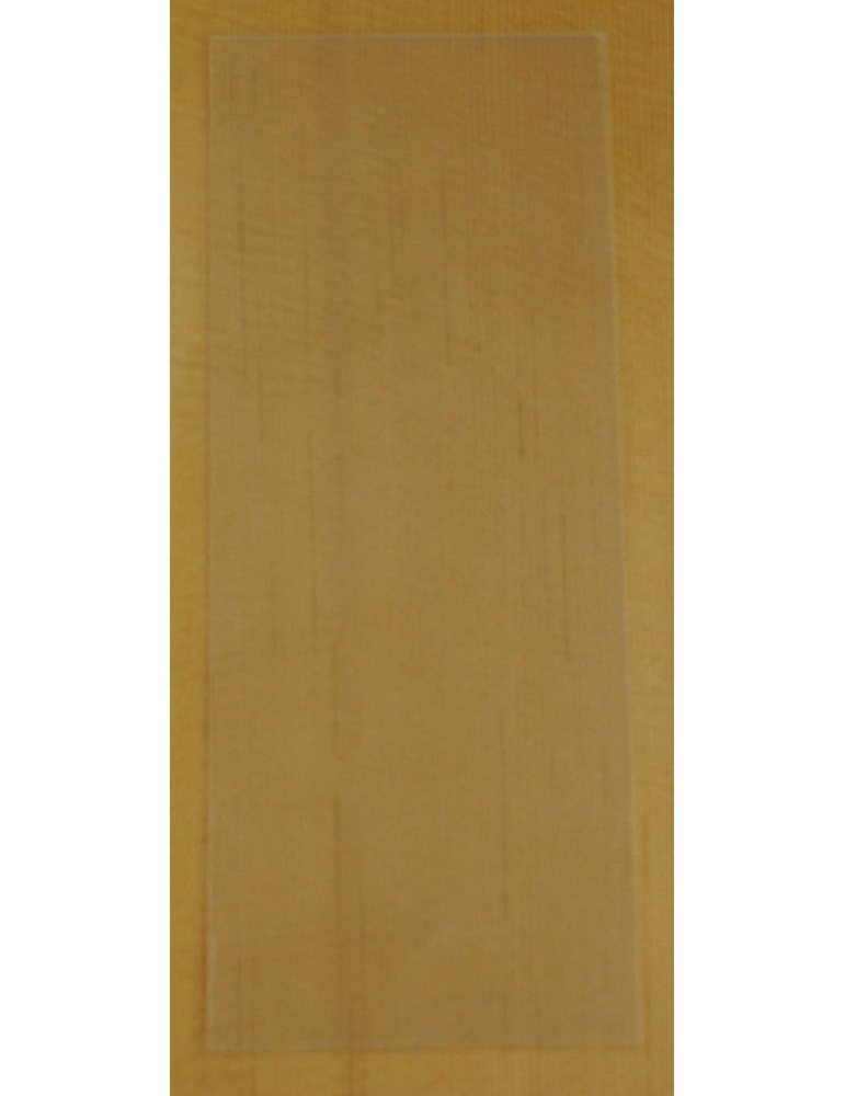 GOLPEADOR TRANSPARENTE ADHESIVO PEQUEÑO RECTANGULAR GTAP