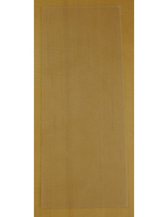 GOLPEADOR TRANSPARENTE ADHESIVO PEQUEÑO RECTANGULAR GTAP