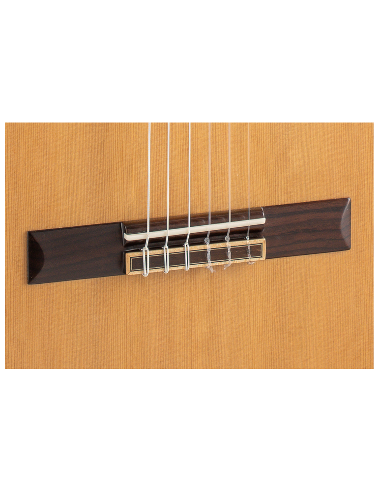 GUITARRA CLÁSICA ADMIRA A20 ELECTRIFICADA CON FISHMAN SERIE ARTESANÍA