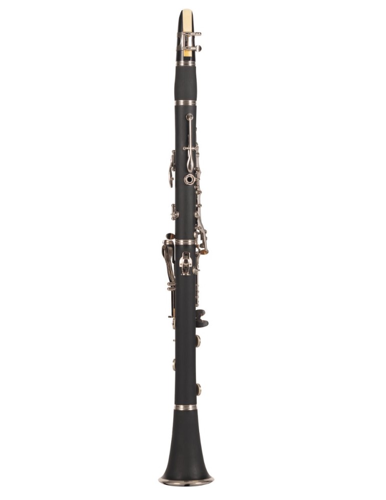 CLARINETE AMADEUS CL-804N17
