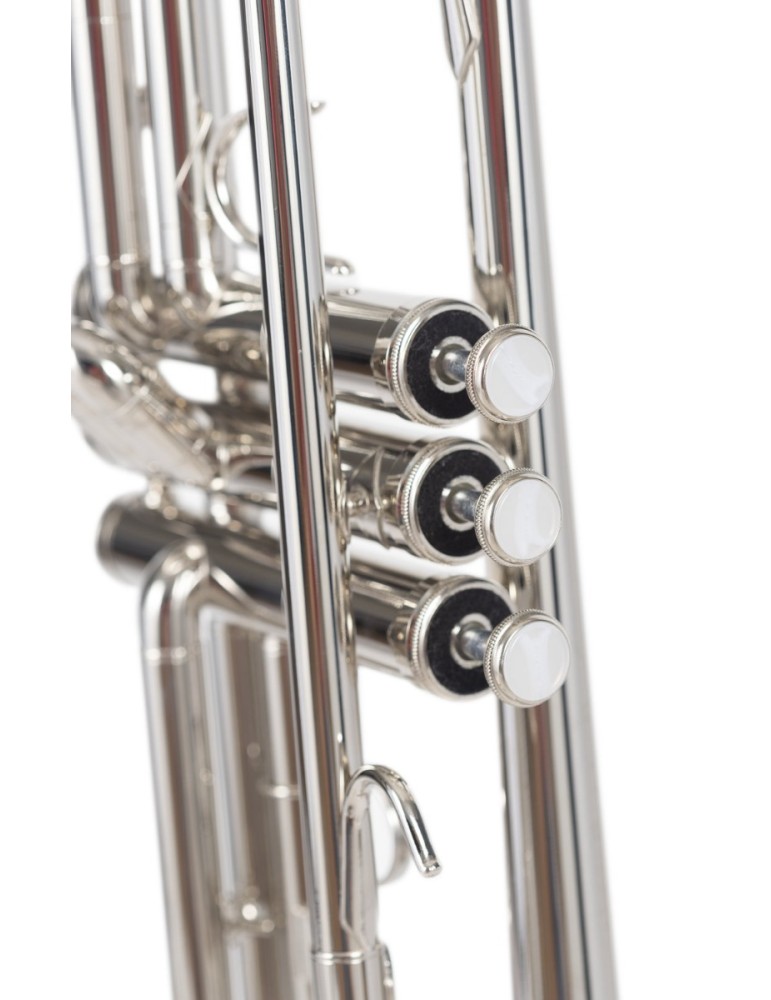 TROMPETA AMADEUS NIQUELADA TP-807N