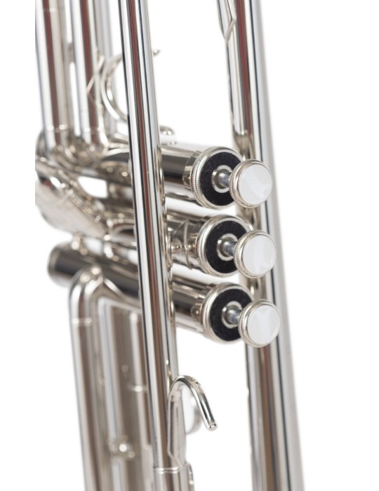 TROMPETA AMADEUS NIQUELADA TP-807N