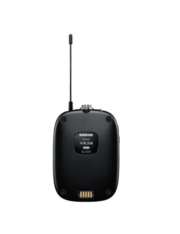 SLXD1 L56