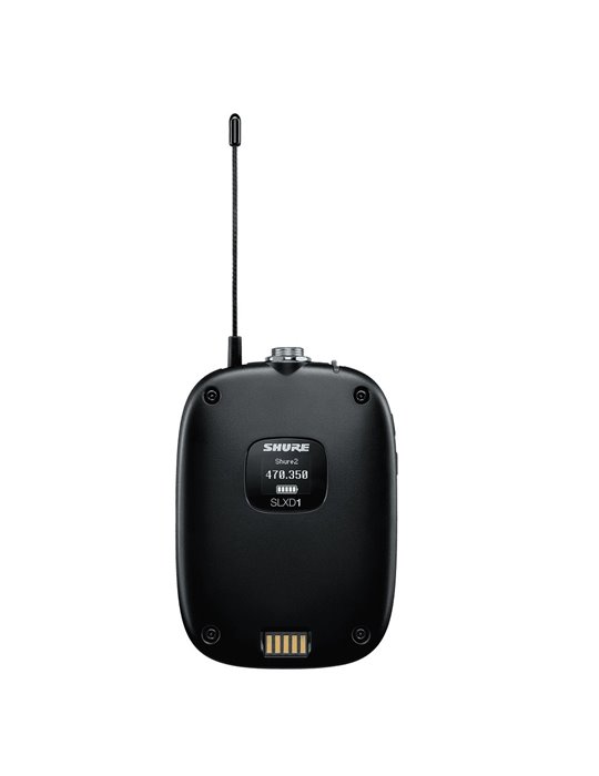 SLXD1 L56