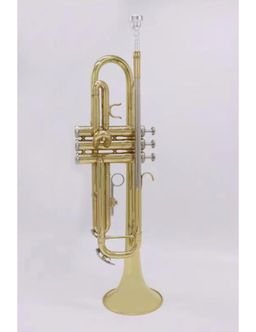 TROMPETA AMADEUS EN SIB TR600 2