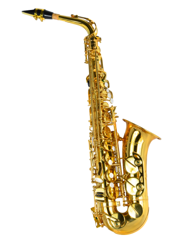 SAXO ALTO AMADEUS EN Mib 2