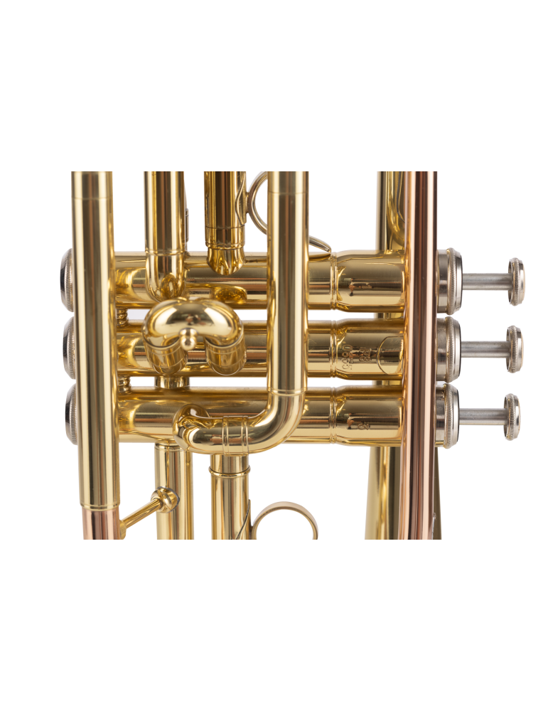 CORNETA AMADEUS PISTONES MONEL