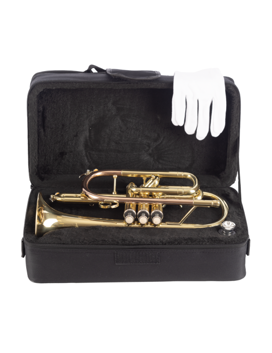 CORNETA AMADEUS PISTONES MONEL