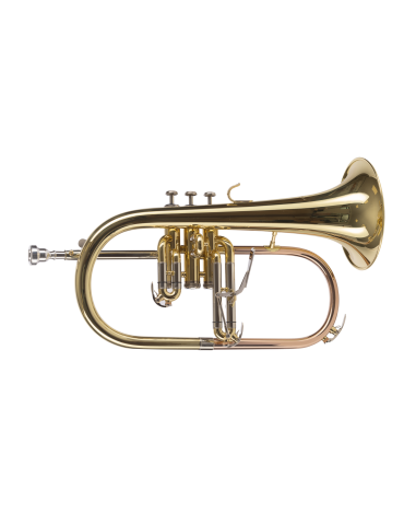 FLISCORNO AMADEUS PISTONES MONEL