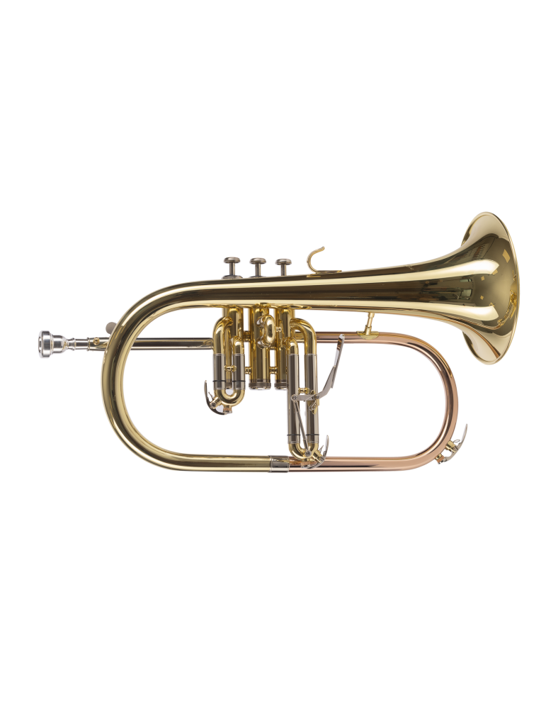 FLISCORNO AMADEUS PISTONES MONEL