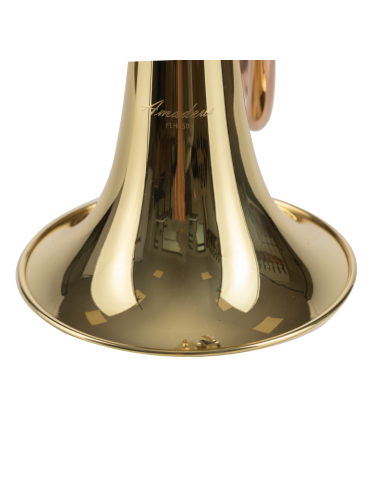 FLISCORNO AMADEUS PISTONES MONEL 2