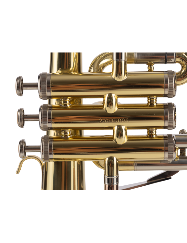 FLISCORNO AMADEUS PISTONES MONEL