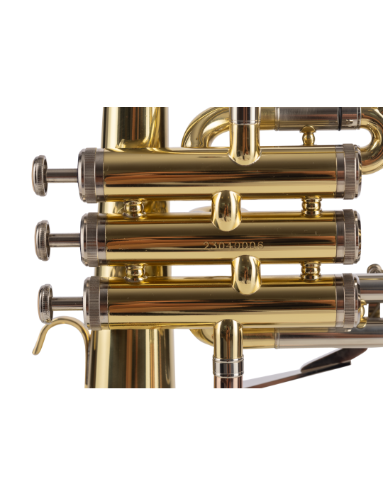 FLISCORNO AMADEUS PISTONES MONEL