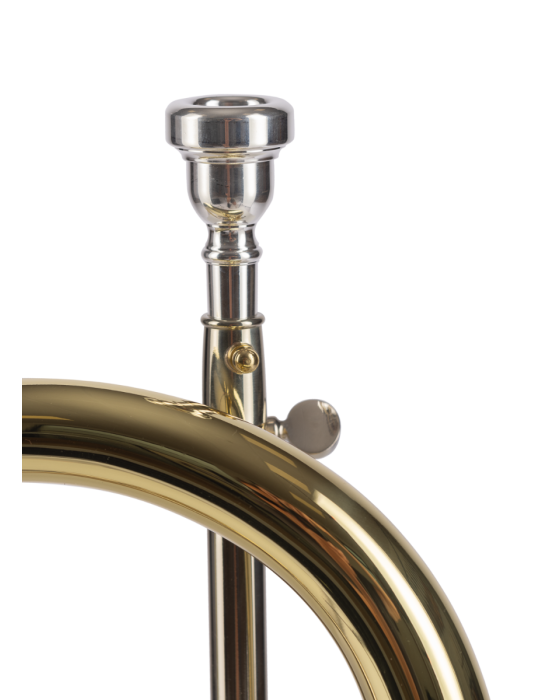 FLISCORNO AMADEUS PISTONES MONEL