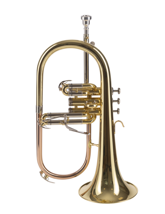 FLISCORNO AMADEUS PISTONES MONEL