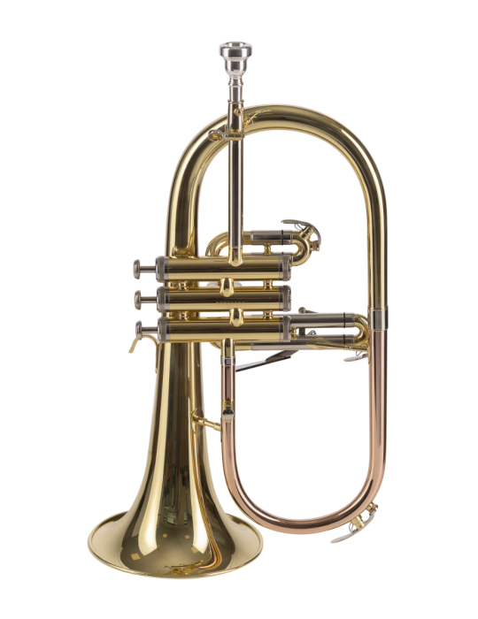 FLISCORNO AMADEUS PISTONES MONEL