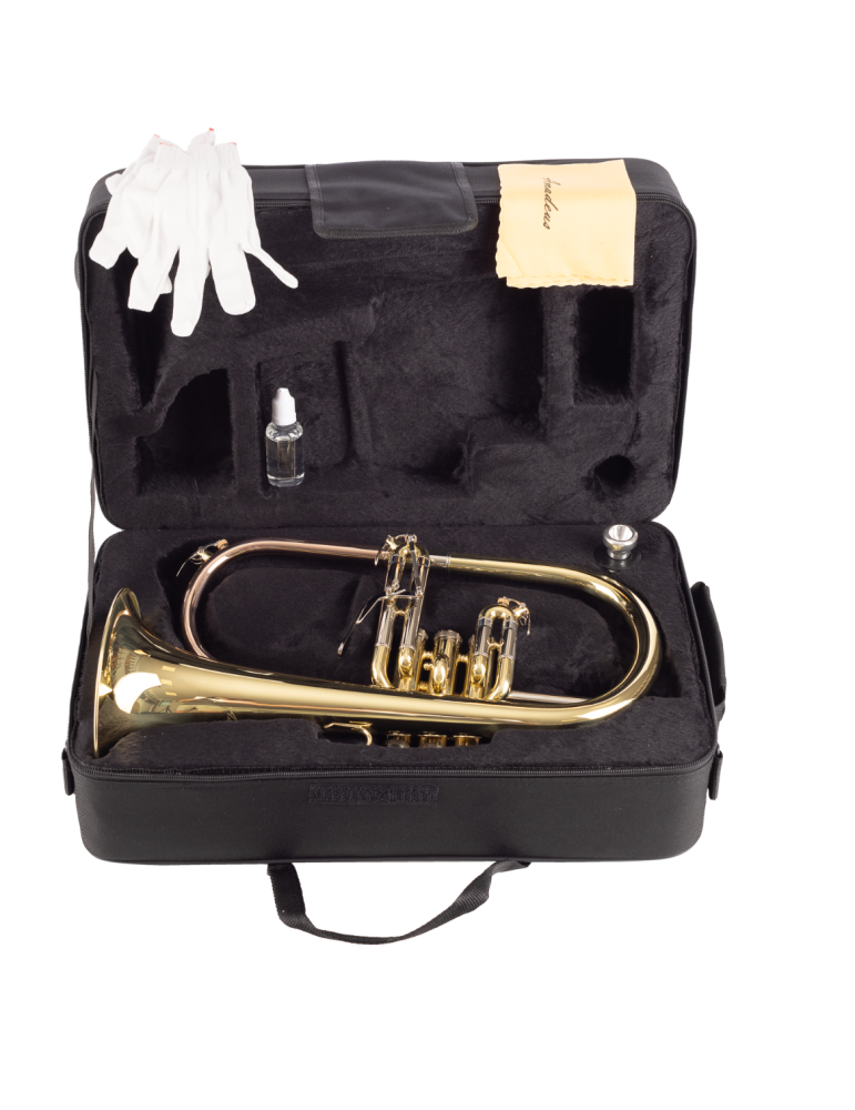 FLISCORNO AMADEUS PISTONES MONEL