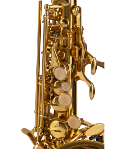 SAXO SOPRANO AMADEUS CURVO 2