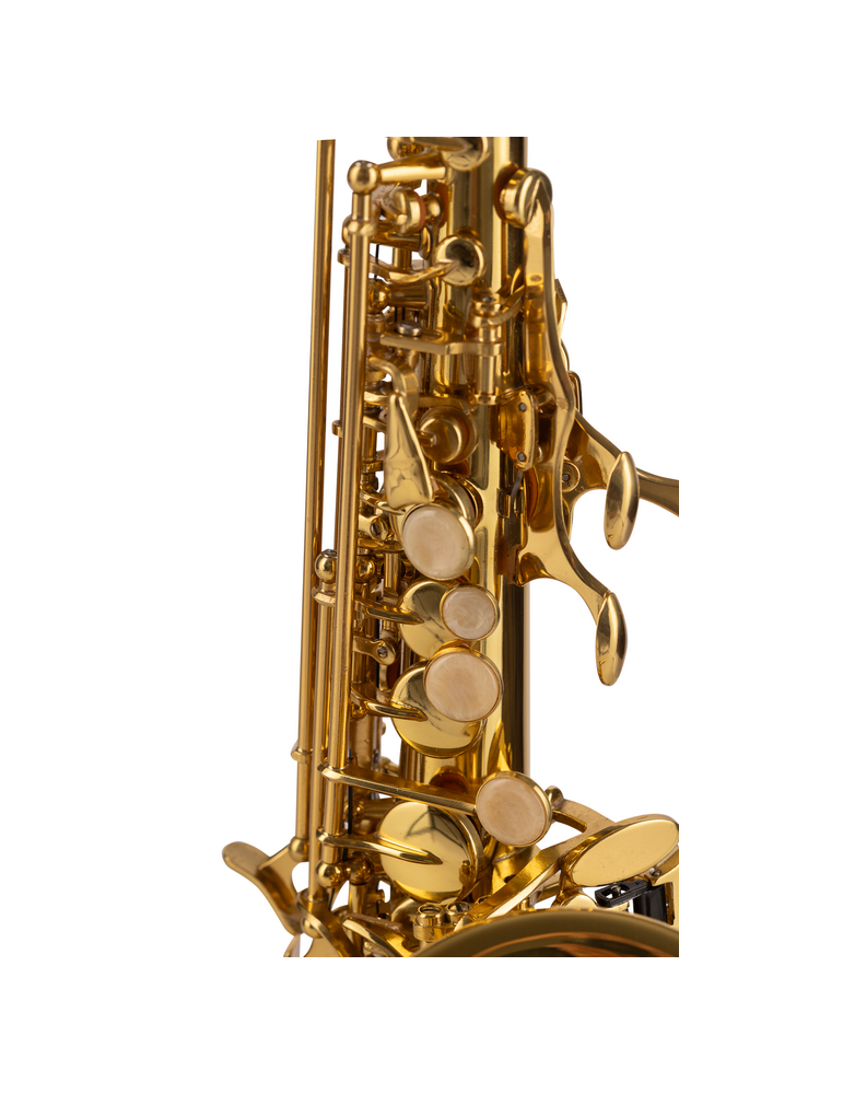 SAXO SOPRANO AMADEUS CURVO