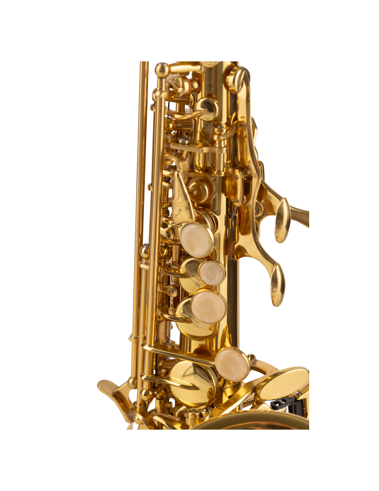 SAXO SOPRANO AMADEUS CURVO