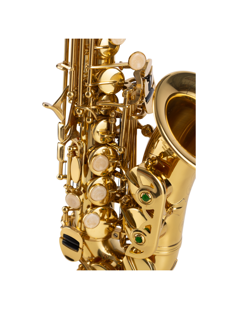 SAXO SOPRANO AMADEUS CURVO