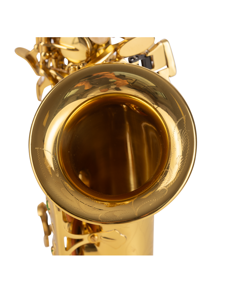 SAXO SOPRANO AMADEUS CURVO