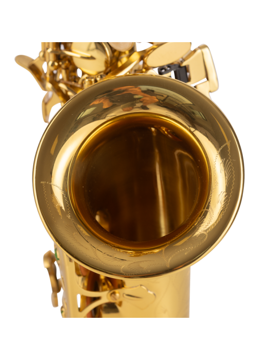 SAXO SOPRANO AMADEUS CURVO